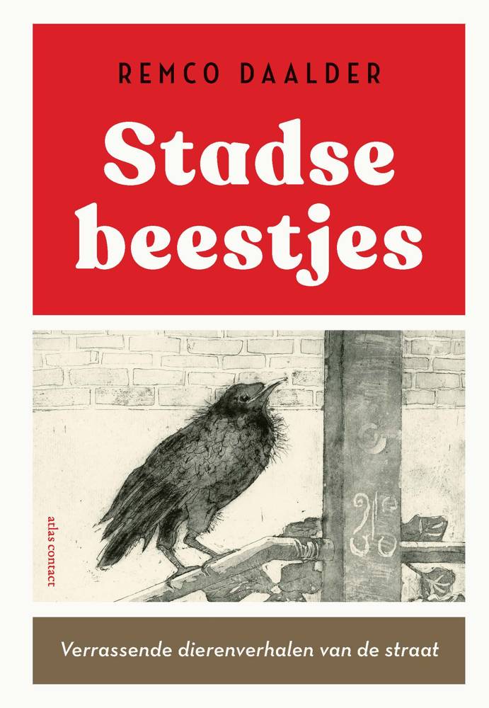Stadse beestjes / Druk 3
