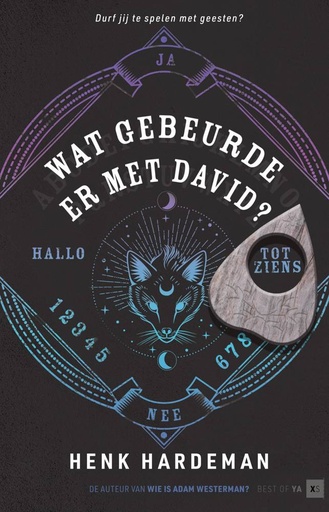 [9789000383481] Wat gebeurde er met David? / Druk 1